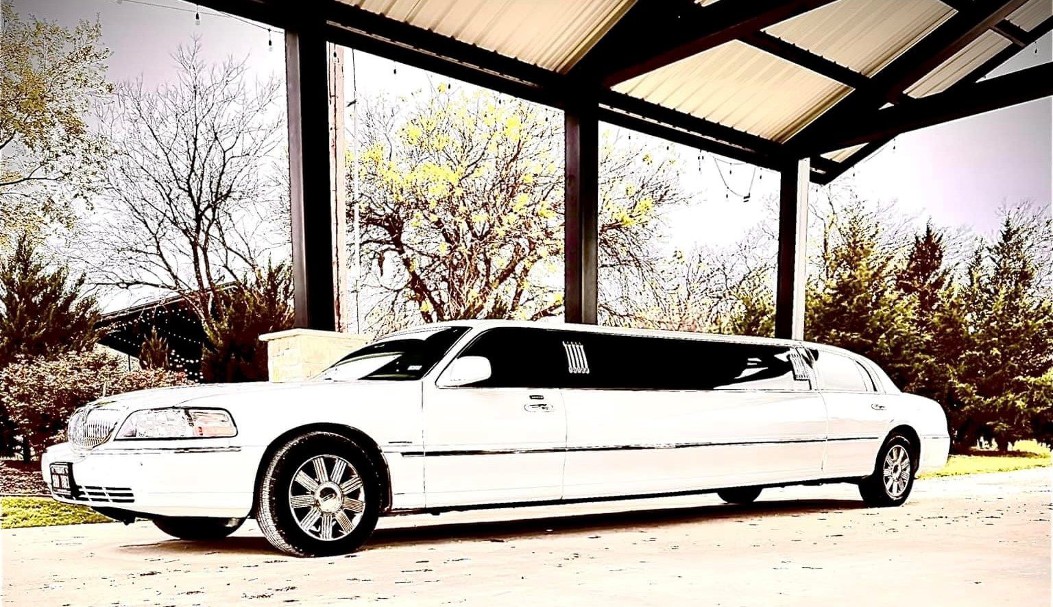 White limousine parked under a shelter.